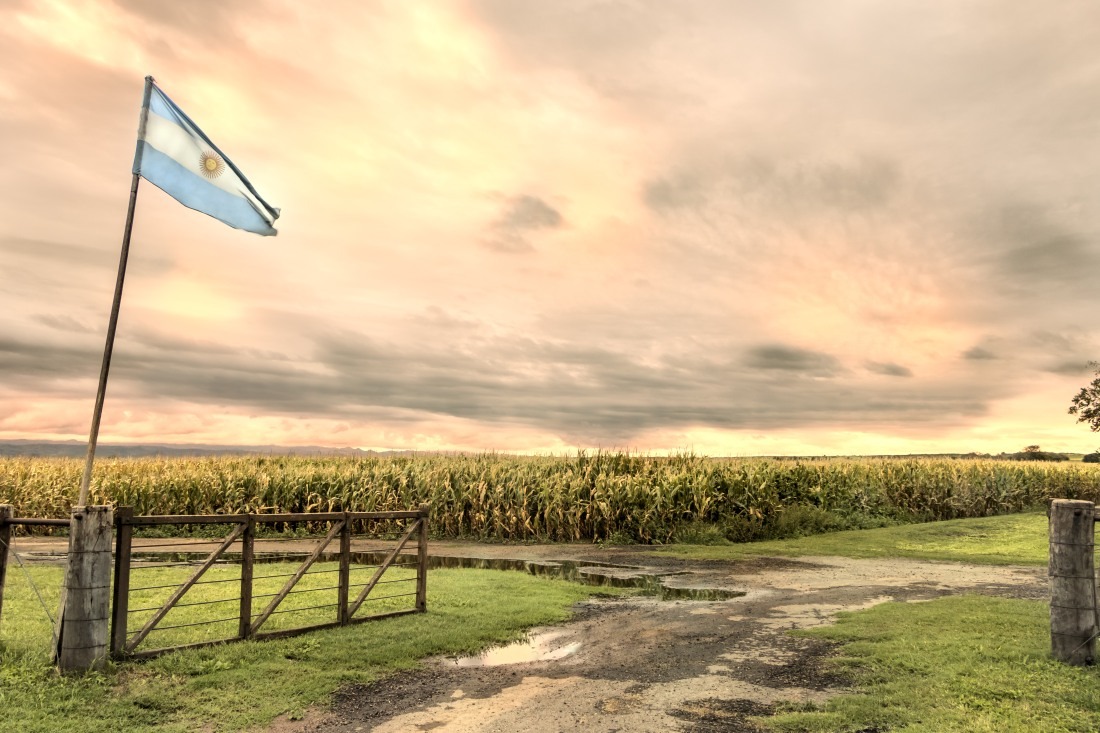 Niższe cła eksportowe na argentyńską soję, kukurydzę i ...
