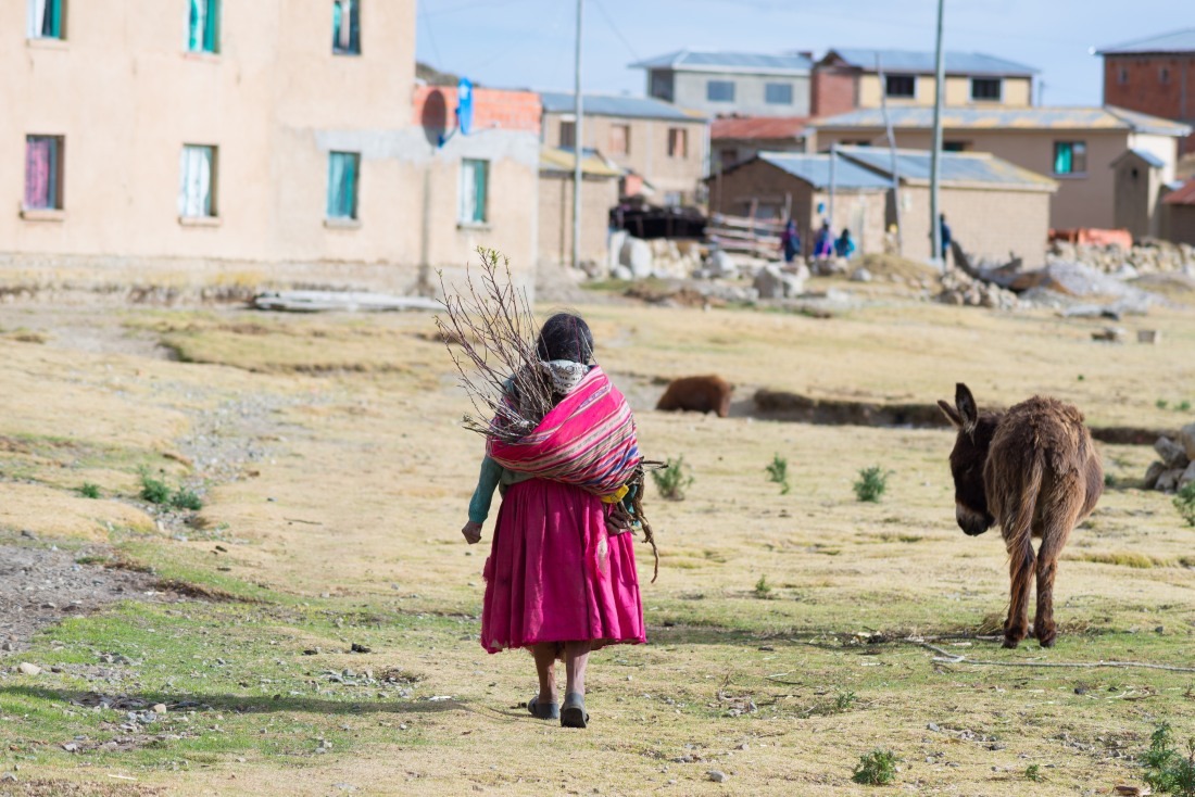 Rolnictwo w Ameryce Południowej – Boliwia