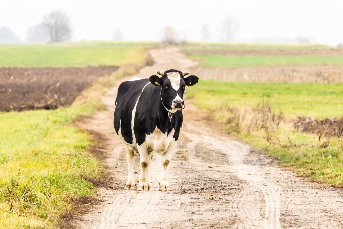 Webinar&#x20;&#x2013;&#x20;dofinansowanie&#x20;inwestyc...