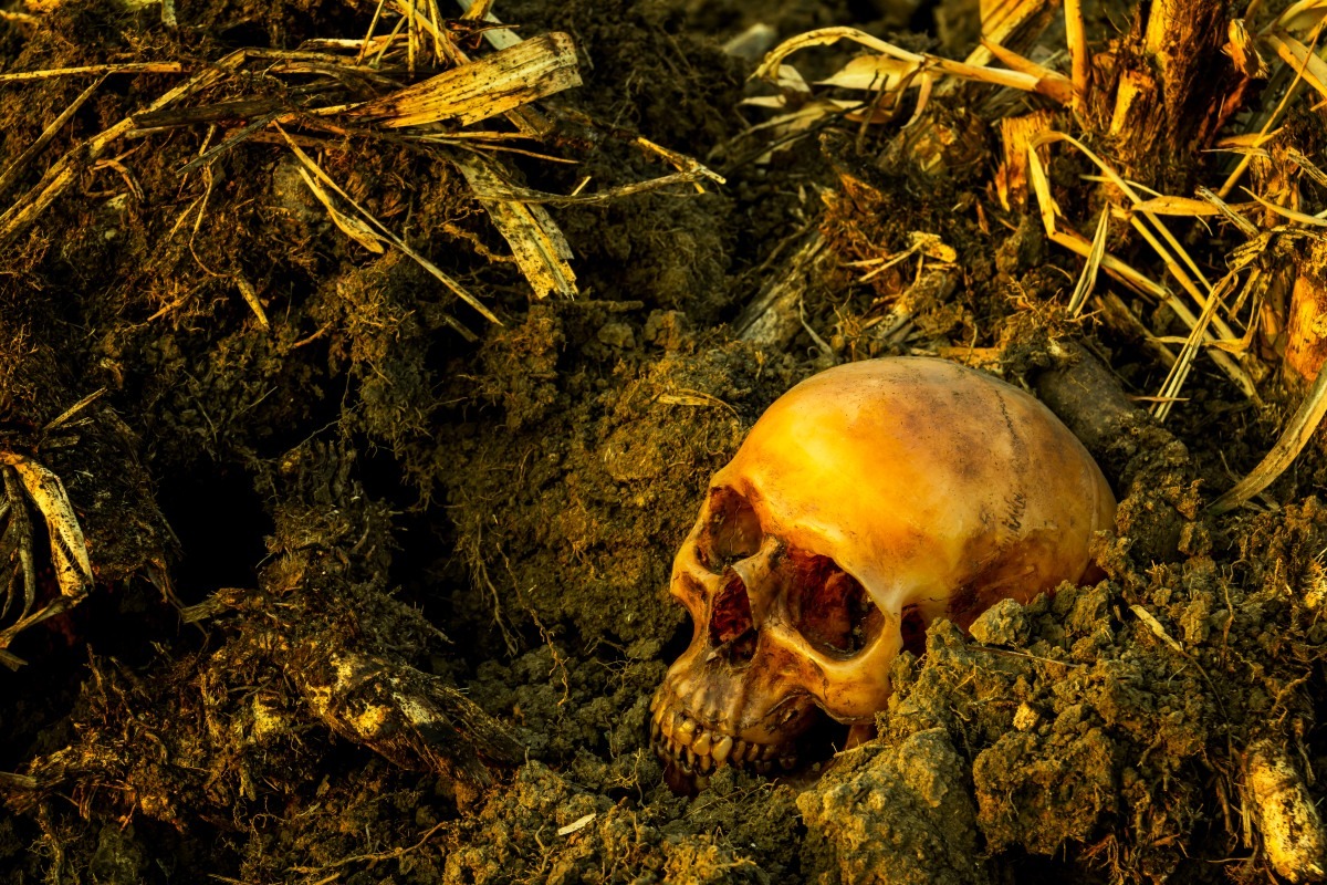 Jaka czaszka, taka praca | Ciekawostki (agro)historyczn...