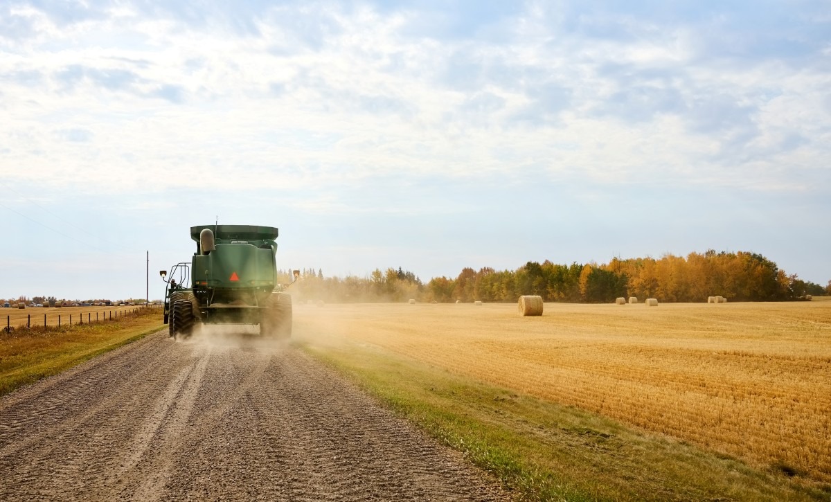 Czy&#x20;nale&#x017C;y&#x20;sprz&#x0105;ta&#x0107;&#x20...