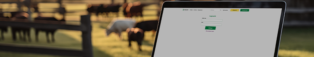 Logowanie z dodatkowym kodem SMS...