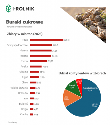 Infografika przedstawiająca zbiory buraków cukrowych w 2023 roku: ranking krajów oraz udział kontynentów w globalnej produkcji według danych FAO.