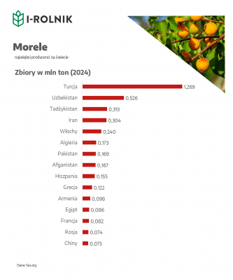 największe zbiory moreli 2024: Turcja, Uzbekistan, Tadżykistan