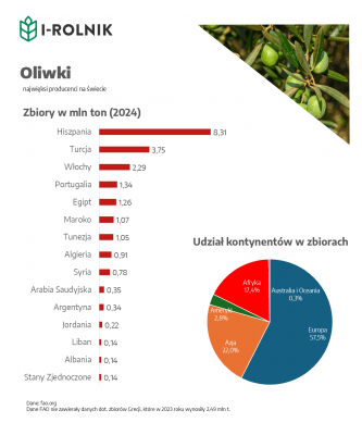 Najwieksze zbiory oliwek na swiecie w 2024: Hiszpania, Turcja, Włochy, Portugalia, Egipt.