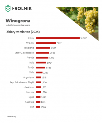 Najwięksi producenci winogron zbiory w milionach ton Chiny 16,887 Włochy 7,637 Hiszpania 5,387 Stany Zjednoczone 4,902 Francja 4,747 Indie 3,904 Turcja 3,468 Chile 2,453 Argentyna 1,918 Republika Południowej Afryki 1,870 Uzbekistan 1,832 Brazylia 1,820 Egipt 1,696 Australia 1,613 Iran 1,566