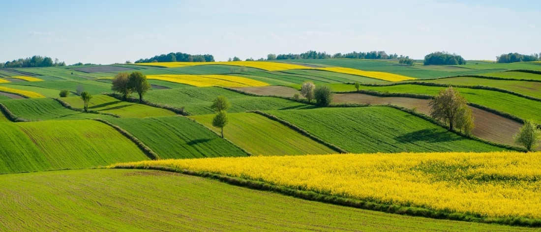 Zbo&#x017C;a&#x20;jare&#x20;&#x2013;&#x20;zrezygnowa&#x...