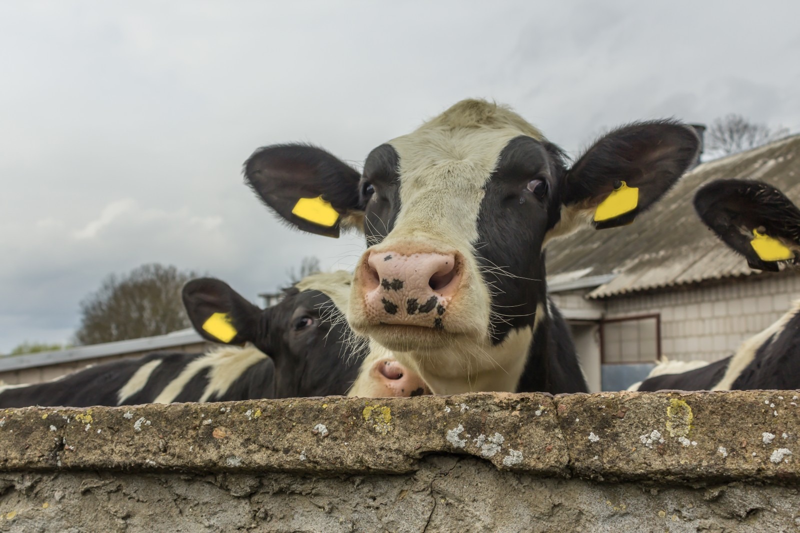 Nowe obowiązki dla posiadaczy...
