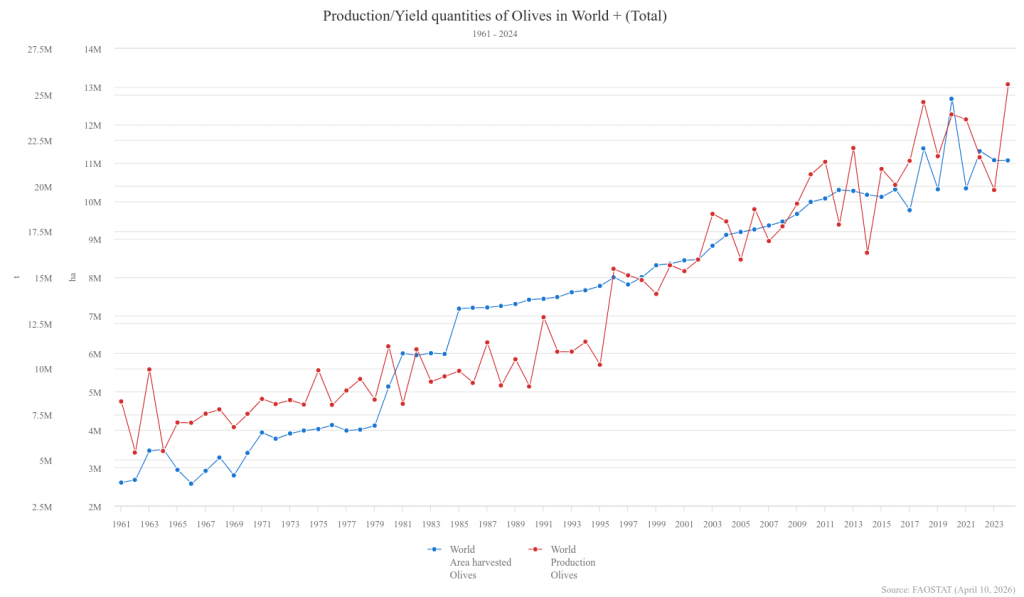 zbiory oliwek w latach 1961-2024 na swiecie