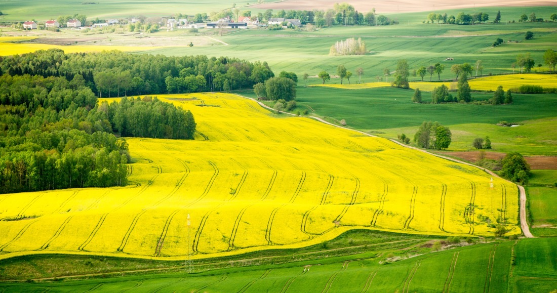 Rolnictwo&#x20;w&#x20;Polsce,&#x20;czyli&#x20;zielone&#...