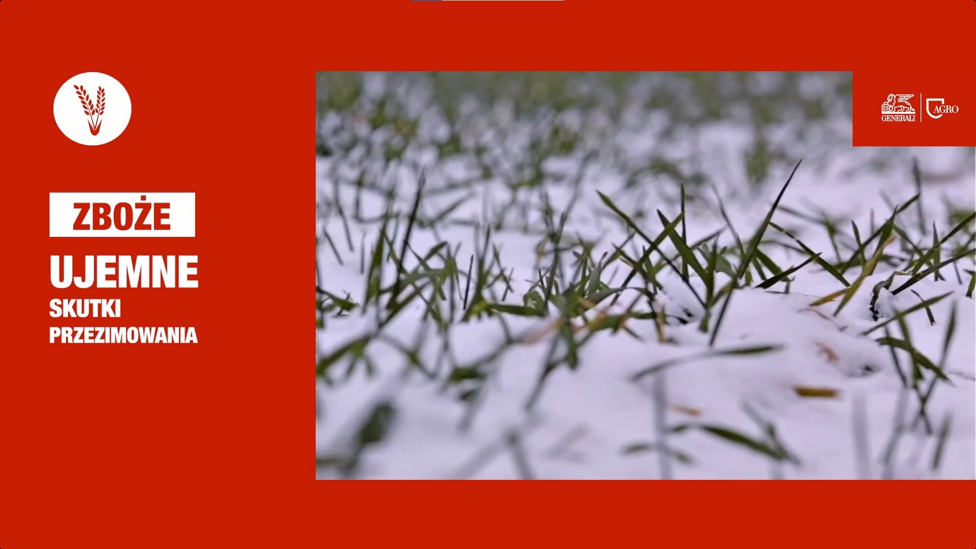 Realne&#x20;zagro&#x017C;enia&#x20;&#x2013;&#x20;realne...