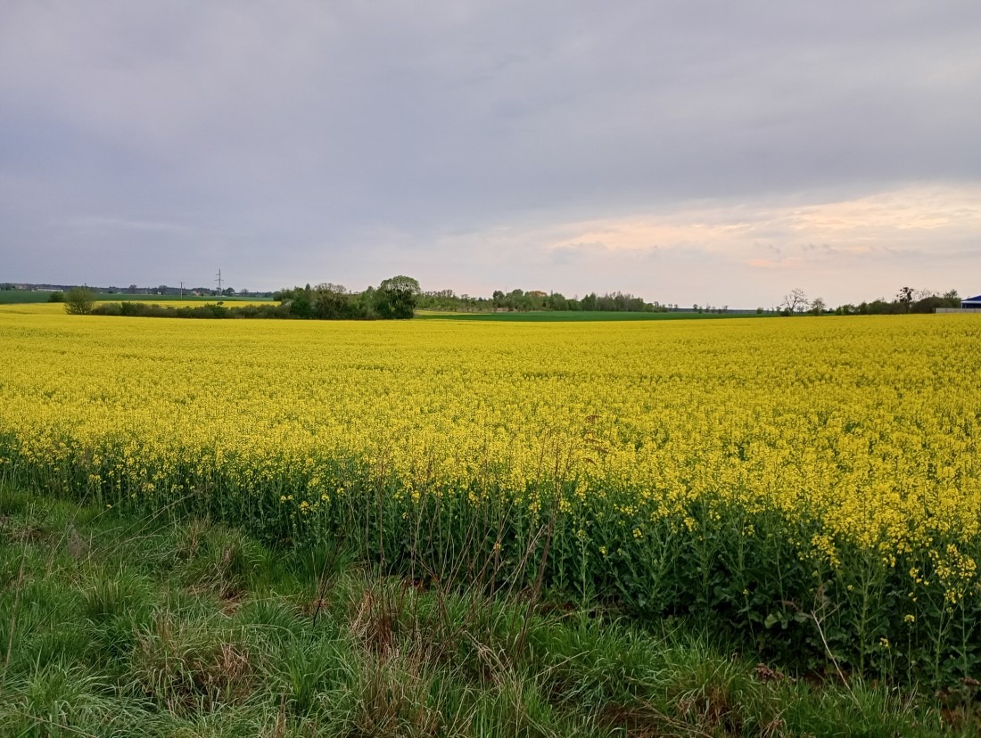 Jeszcze&#x20;s&#x0142;&#x00F3;w&#x20;kilka&#x20;o&#x20;...