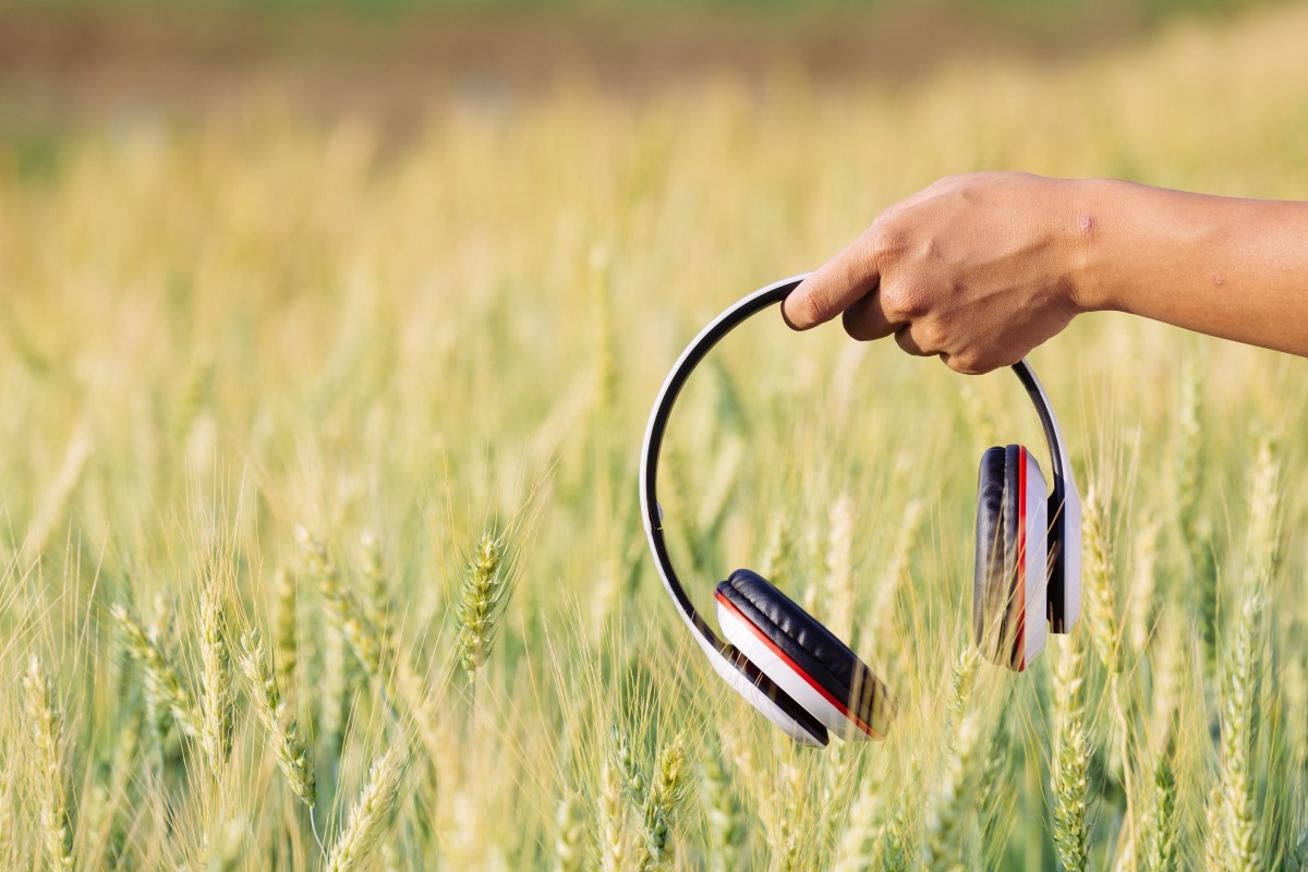 Jak Kazachstan próbuje wskrzesi&#...