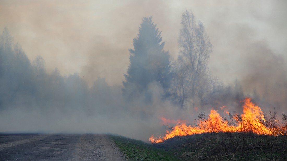 Wypalanie traw a płatności...