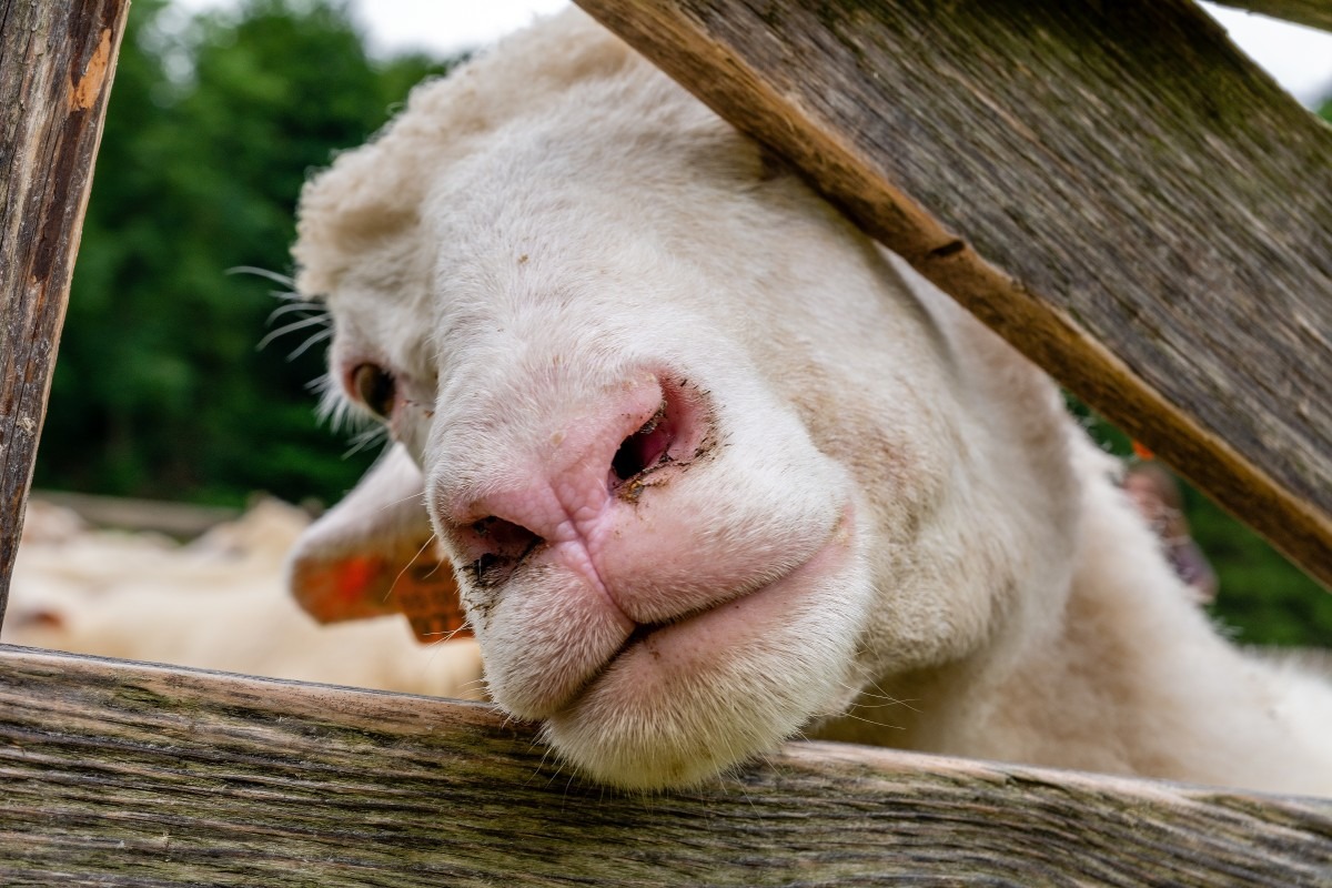 Od&#x20;2026&#x20;roku&#x20;zg&#x0142;oszenia&#x20;doty...